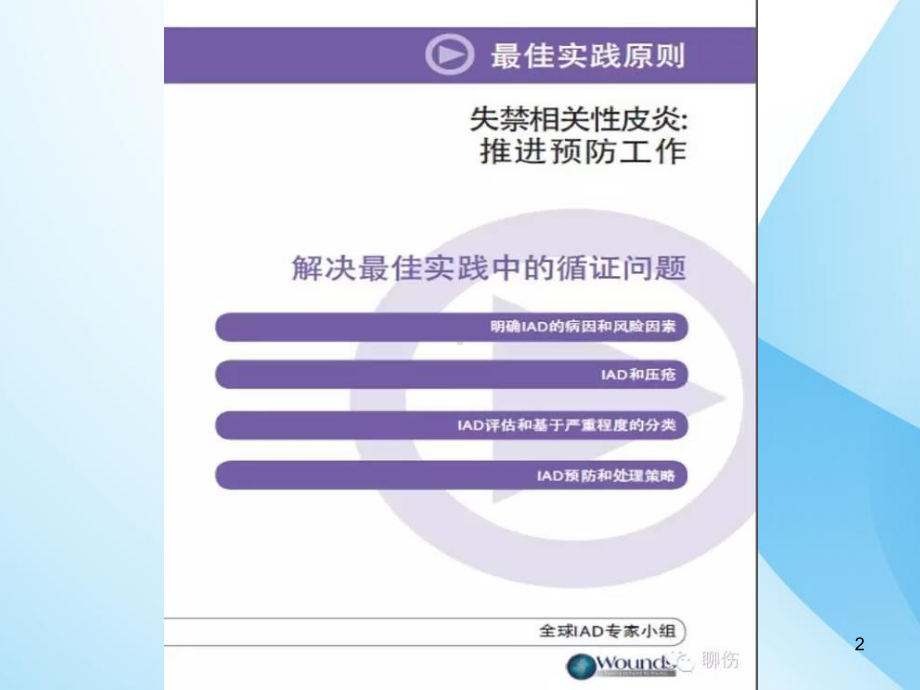 失禁性皮炎指南课件整理.ppt_第2页