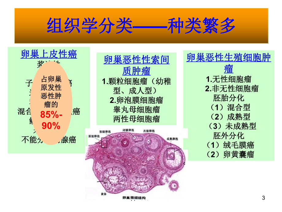 保留生育功能的卵巢癌手术课件.ppt_第3页