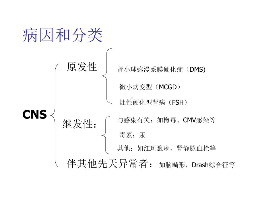 先天性肾病综合征课件.ppt_第3页