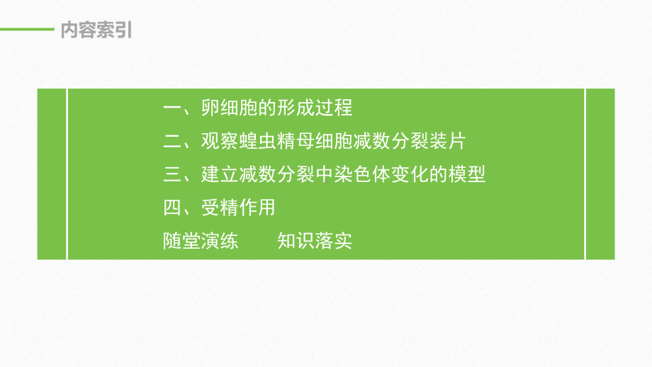 《减数分裂和受精作用》基因和染色体的关系(第2课时卵细胞的形成过程和受精作用)课件.pptx_第3页