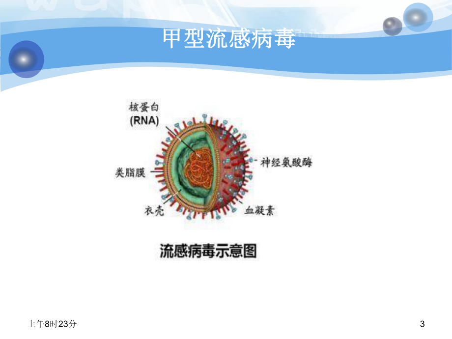 人感染H7N9禽流感诊疗与防控课件整理.ppt_第3页