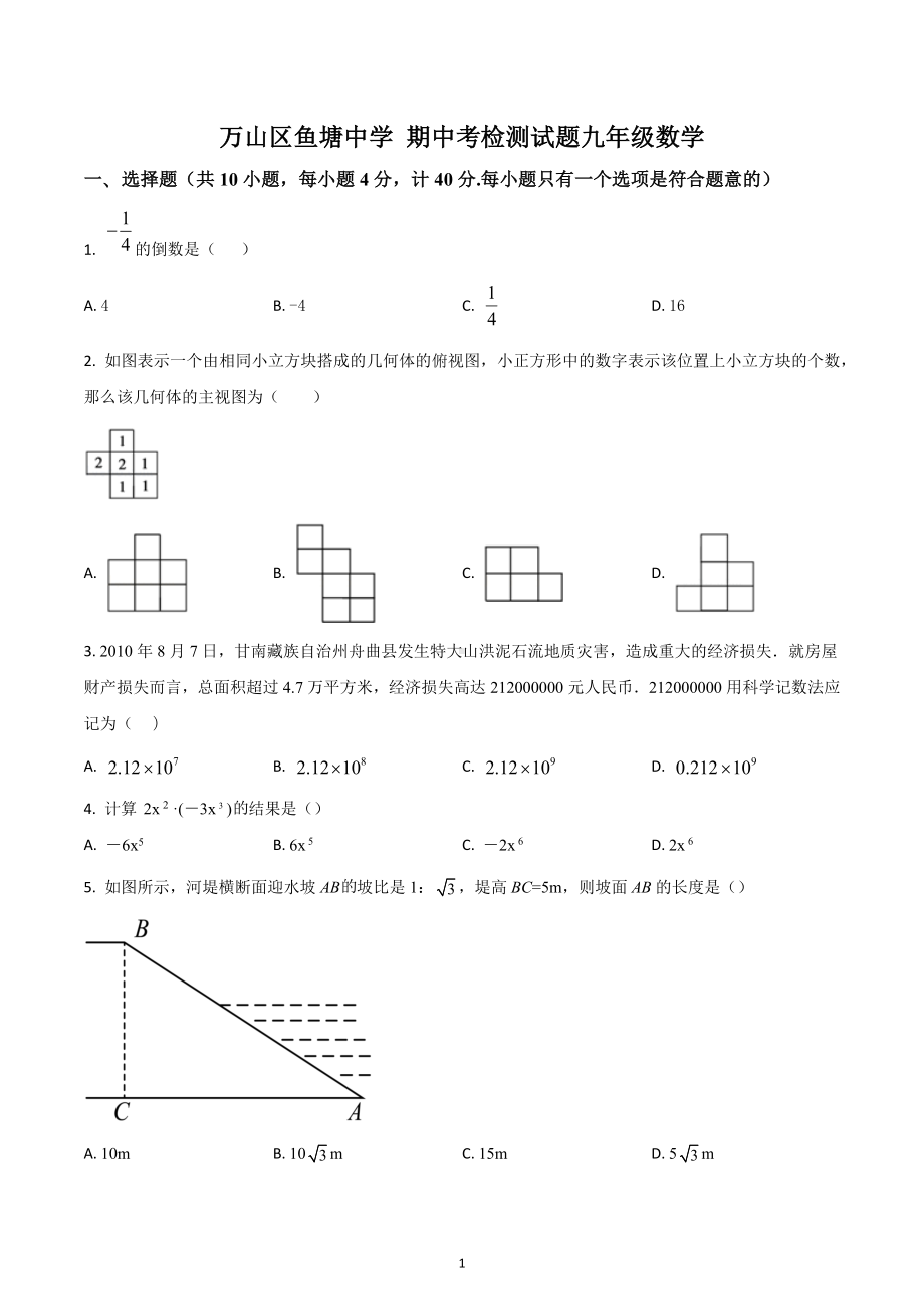 贵州省铜仁市万山区鱼塘中学 九年级第二学期期中检测数学试题.docx_第1页