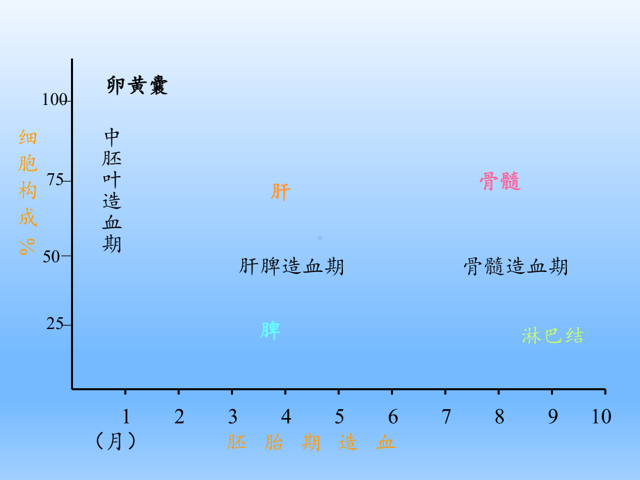 儿科学-小儿贫血课件.ppt_第3页