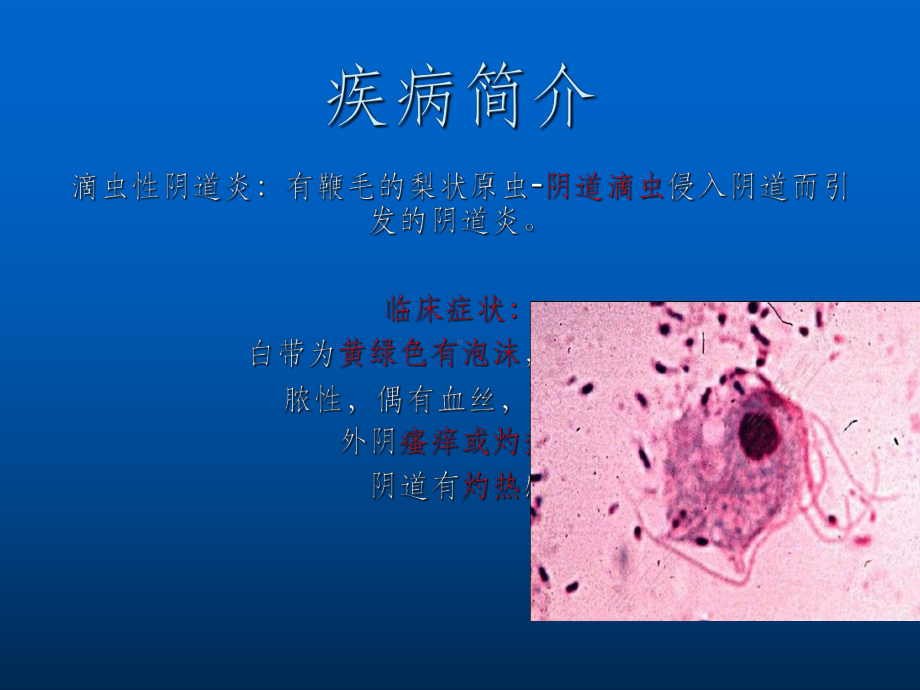 妇科疾病的中医辨证治疗课件.ppt_第2页