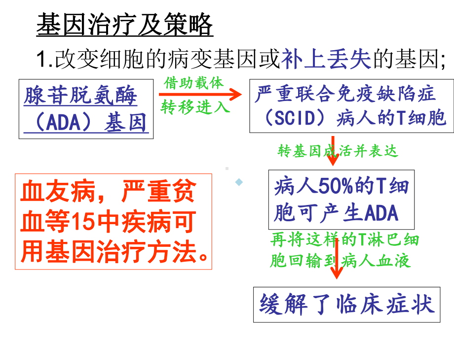 医学课件大全遗传与人类健康.ppt_第3页