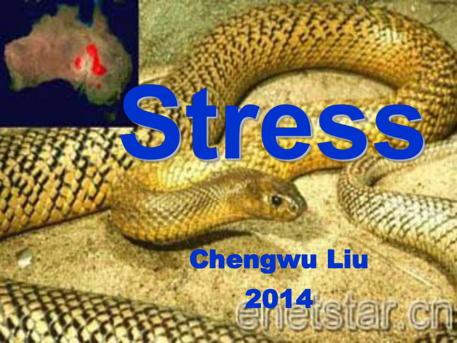 stress-7-yrs-english-病理生理学双语课件.ppt_第1页