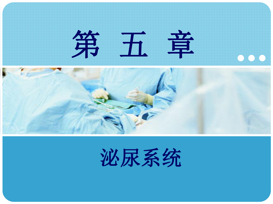 《人体解剖学与组织胚胎学》-课件12.ppt_第1页