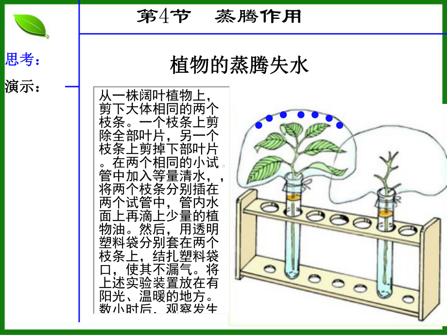 北师大版蒸腾作用优秀课件.pptx_第3页