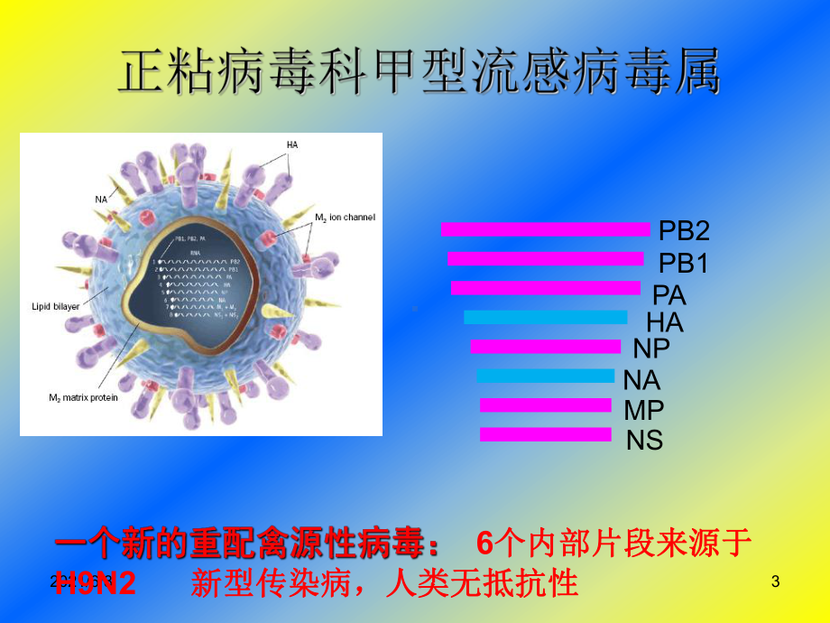 人感染H7N9流感防控培训课件.ppt_第3页