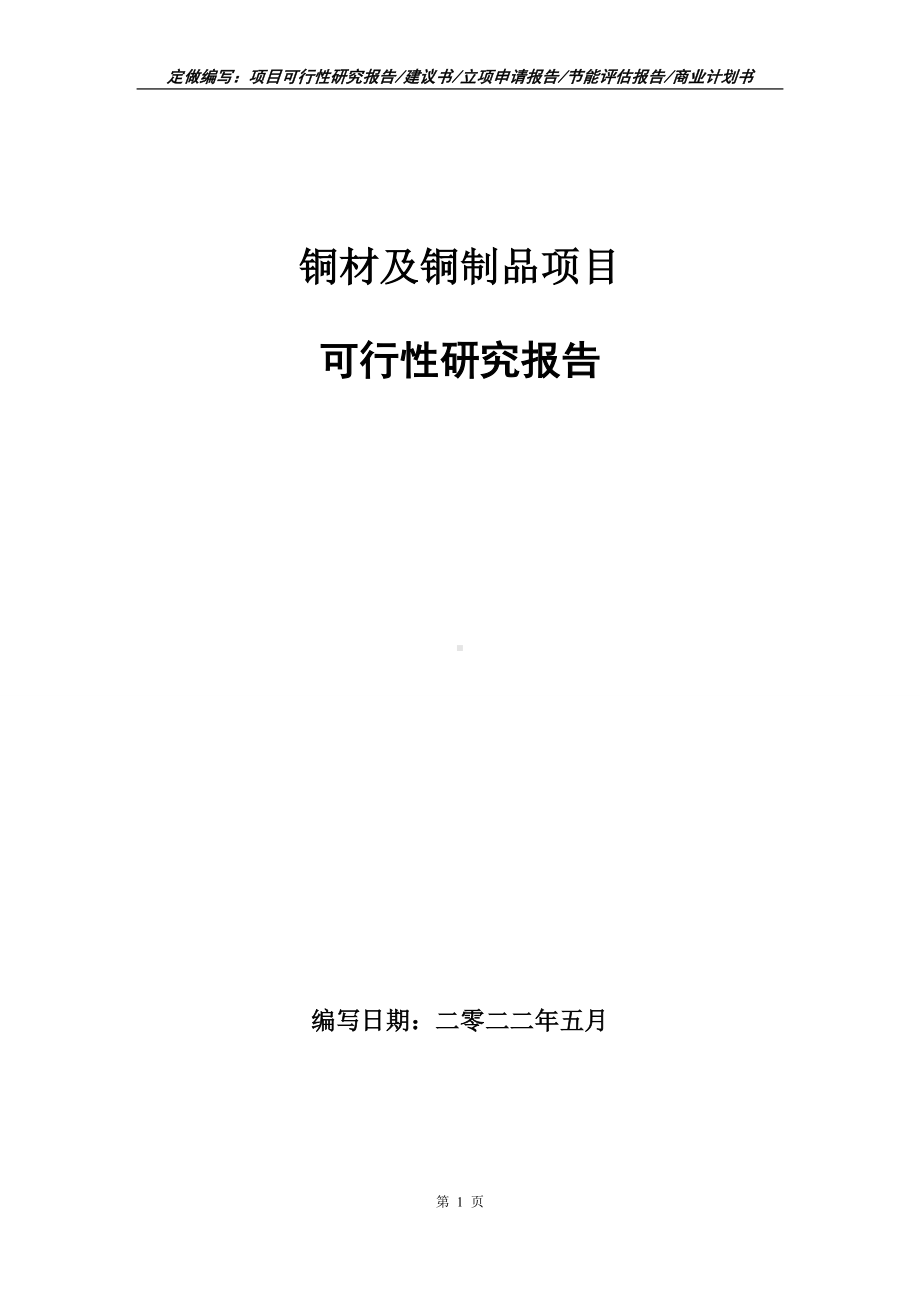 铜材及铜制品项目可行性报告（写作模板）.doc_第1页