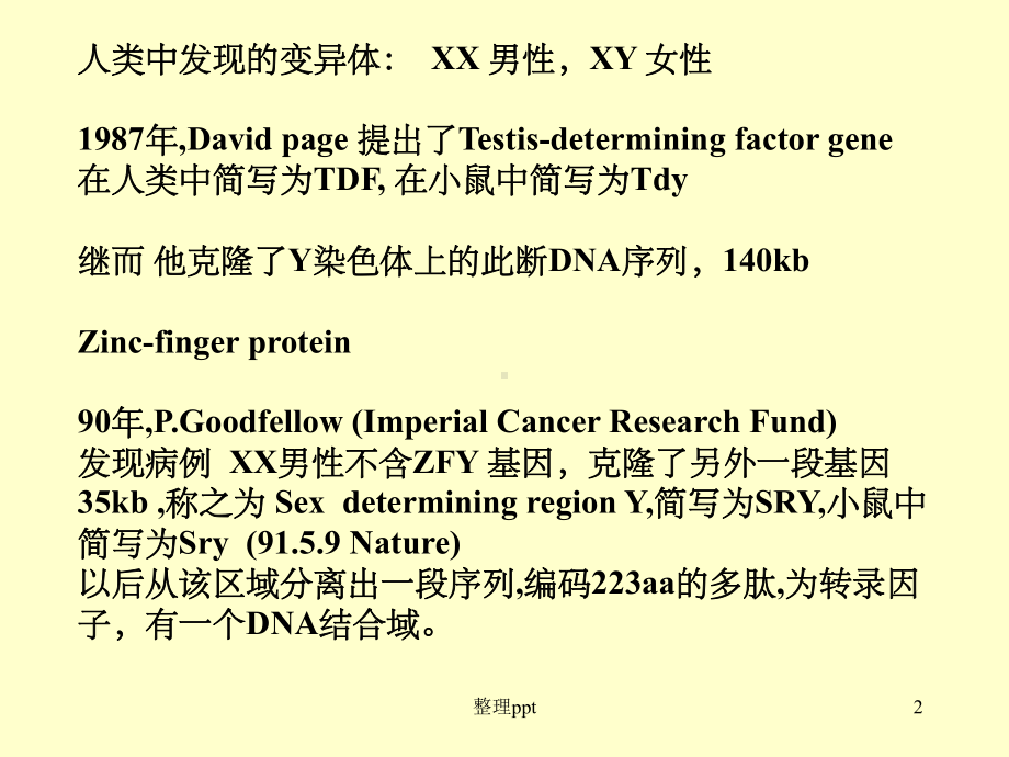 《常染色体上的基因》课件.ppt_第2页