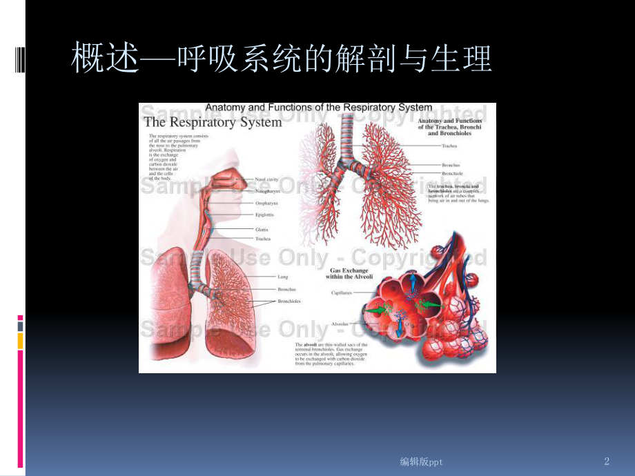 呼吸系统急症课件.ppt_第2页