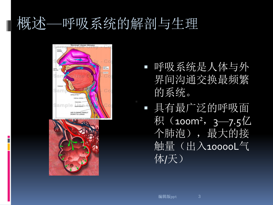 呼吸系统急症课件.ppt_第3页