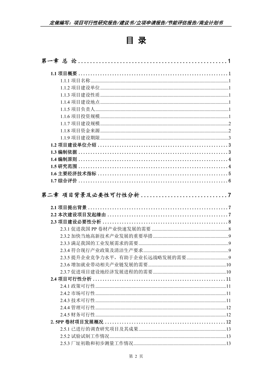 PP卷材项目可行性报告（写作模板）.doc_第2页