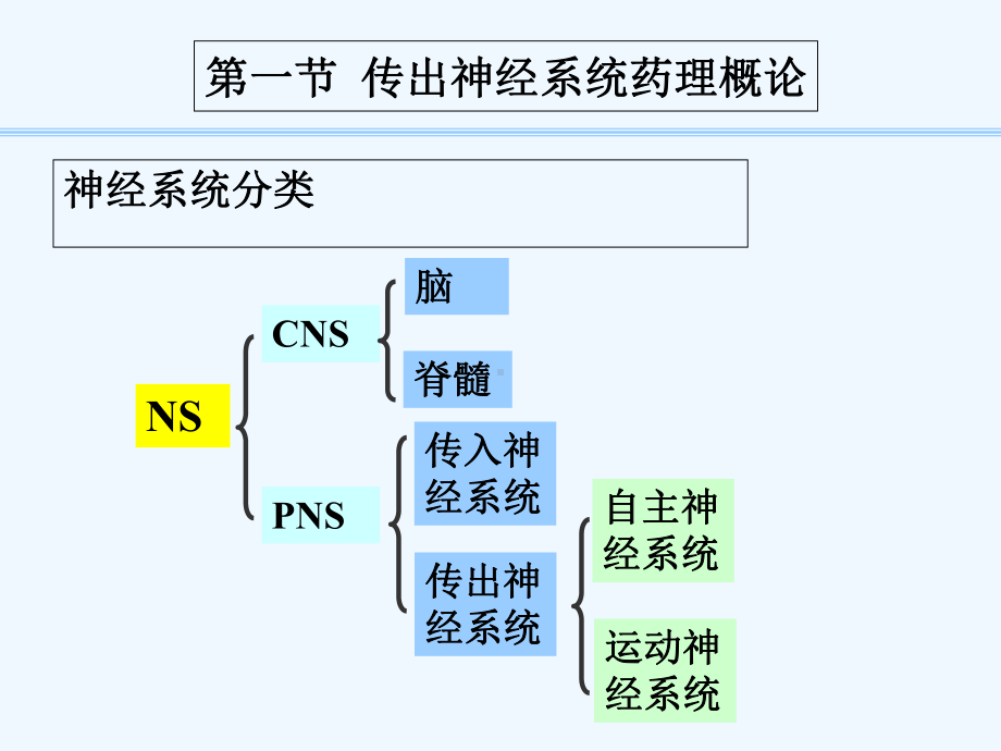 传出神经系统药理学概论-课件.ppt_第2页