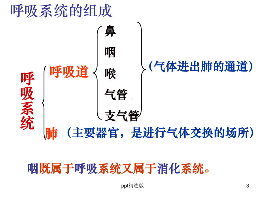 呼吸道对空气的处理(讲课专用)课件整理.ppt_第3页