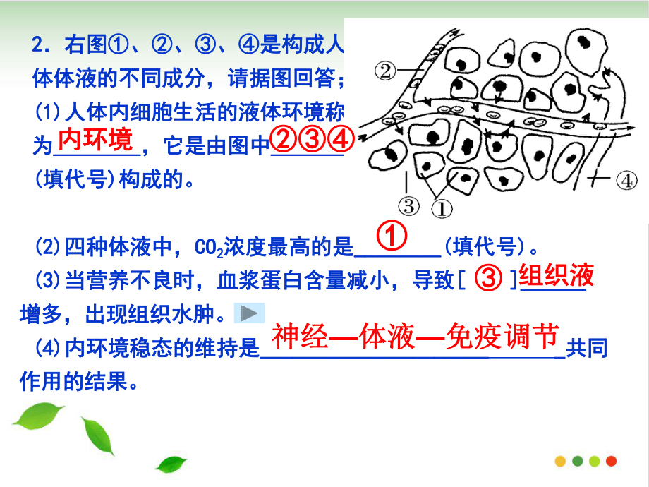 《通过神经系统的调节》课件人教版8.ppt_第2页