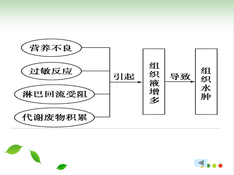 《通过神经系统的调节》课件人教版8.ppt_第3页