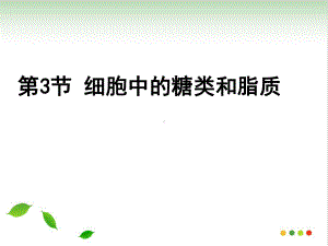 人教版《细胞中的糖类和脂质》课件1.ppt