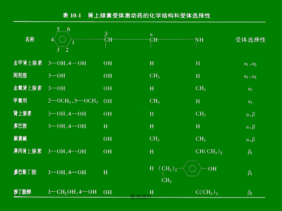 《药理学》复习资料：8肾上激动药课件.ppt_第3页