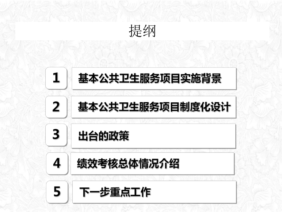 公共卫生服务项目政策支持与绩效考核概述整理课件.ppt_第2页