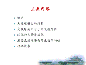 免疫球蛋白的功能区课件.ppt