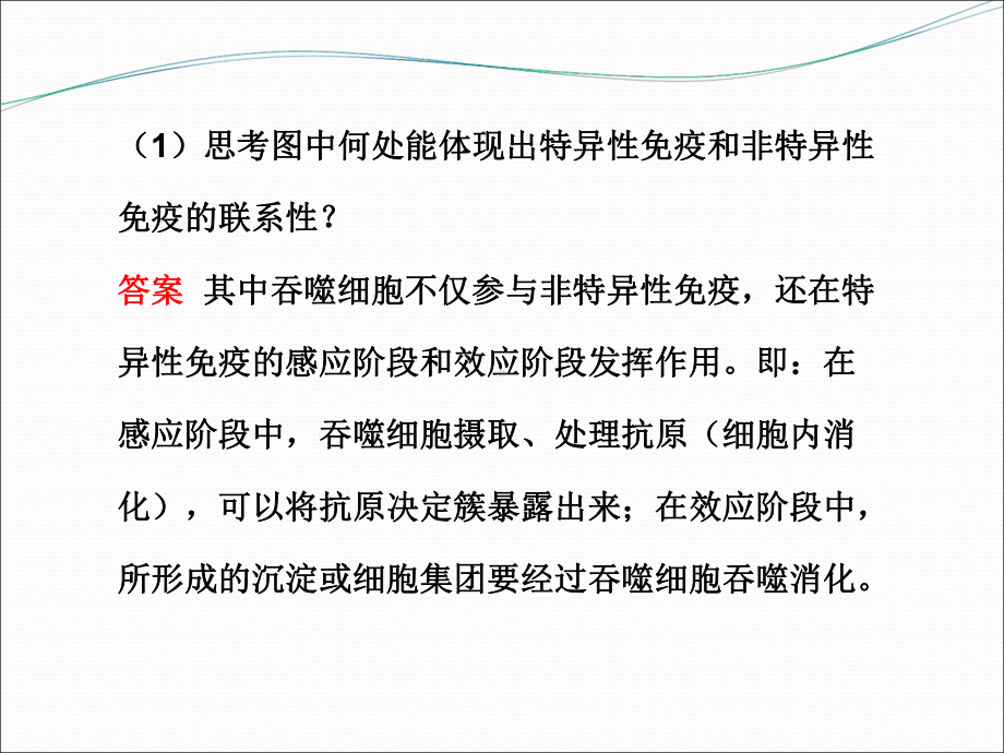 免疫调节40-人教课标版课件.ppt_第3页