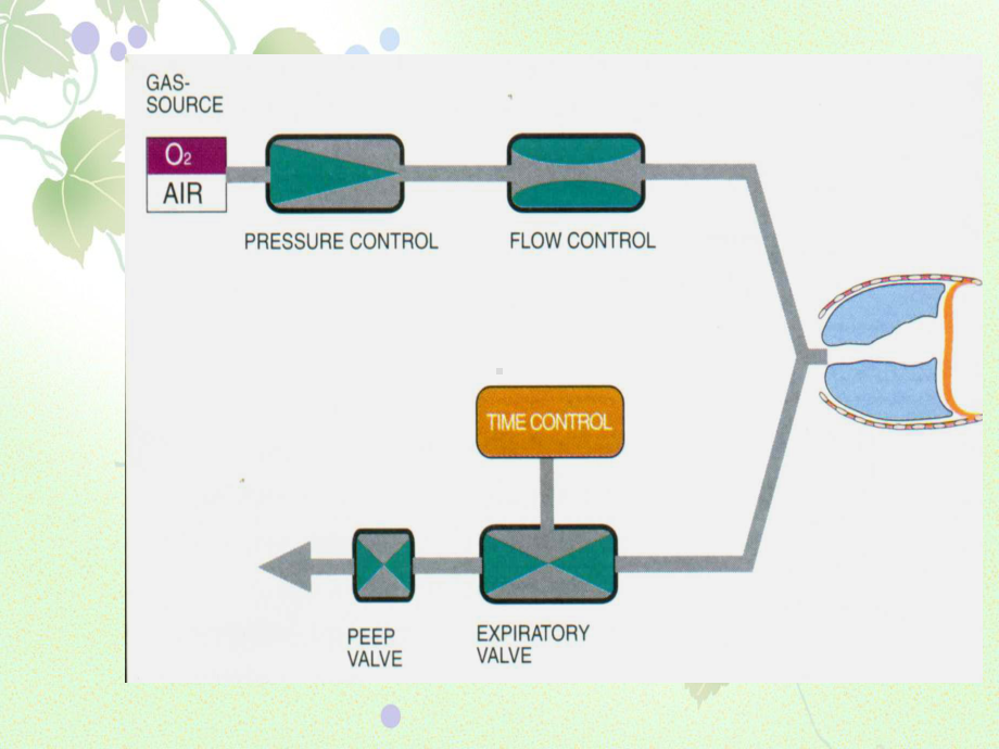 儿童呼吸机参数的调节课件.ppt_第3页