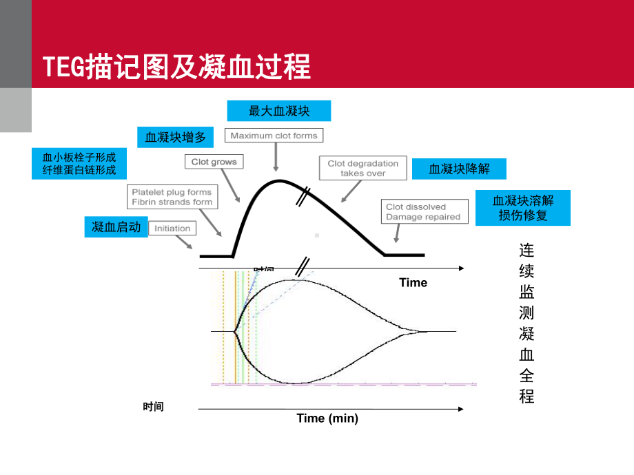 TEG血栓弹力图的临床应用课件.pptx_第1页