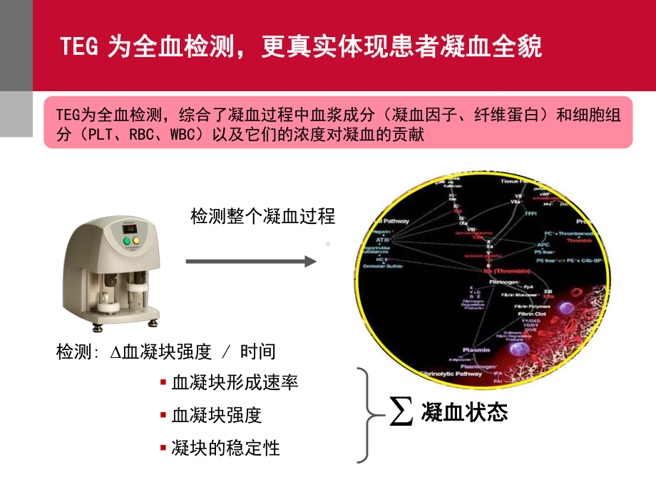 TEG血栓弹力图的临床应用课件.pptx_第2页