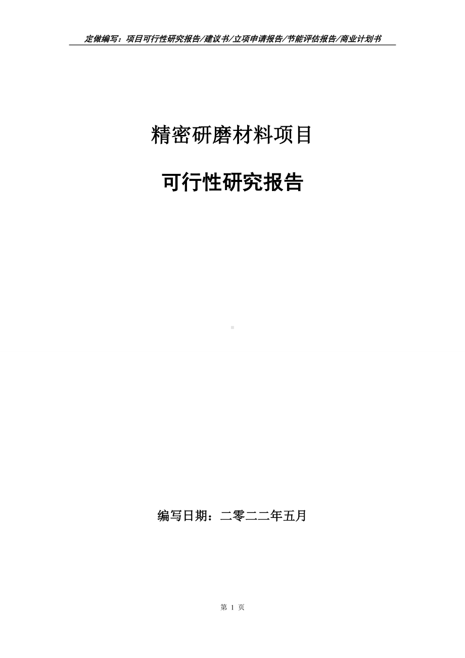 精密研磨材料项目可行性报告（写作模板）.doc_第1页