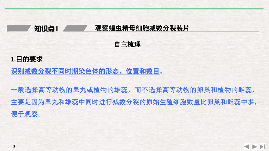 减数分裂和受精作用基因和染色体的关系课件(第2课时受精作用).pptx_第3页