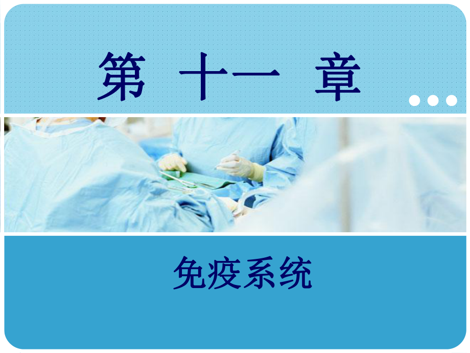 《人体解剖学与组织胚胎学》-课件9.ppt_第1页