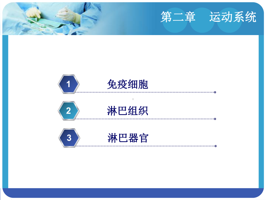 《人体解剖学与组织胚胎学》-课件9.ppt_第2页