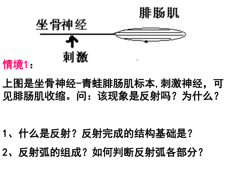 人教版生物必修三《通过神经系统调节》课件1.ppt_第3页