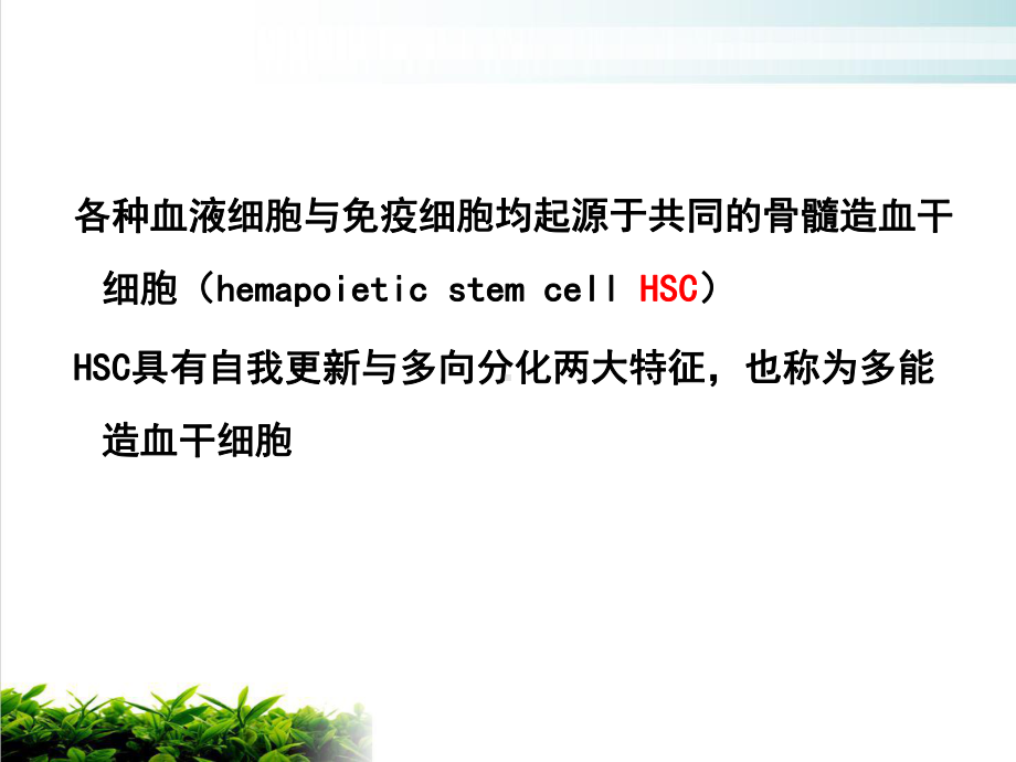 内科学贫血概述观摩课件.ppt_第2页