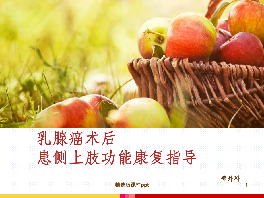 乳腺癌患者术后上肢功能锻炼课件整理.ppt_第1页