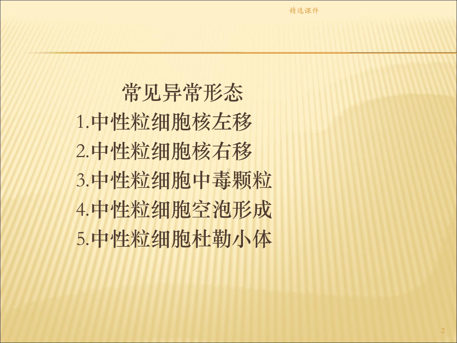 外周血白细胞形态课件整理.ppt_第2页