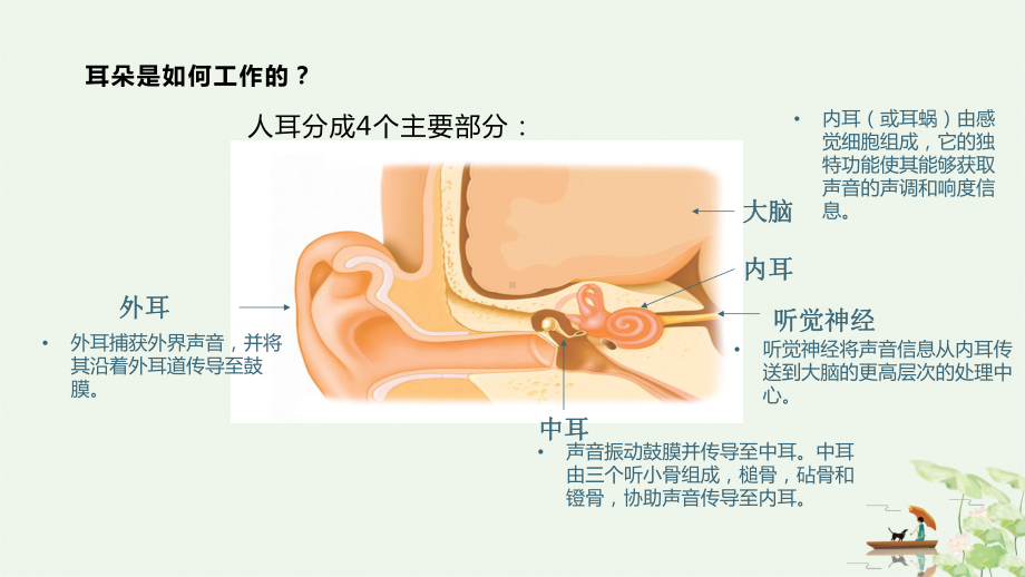 听力损失及防治课件.pptx_第3页