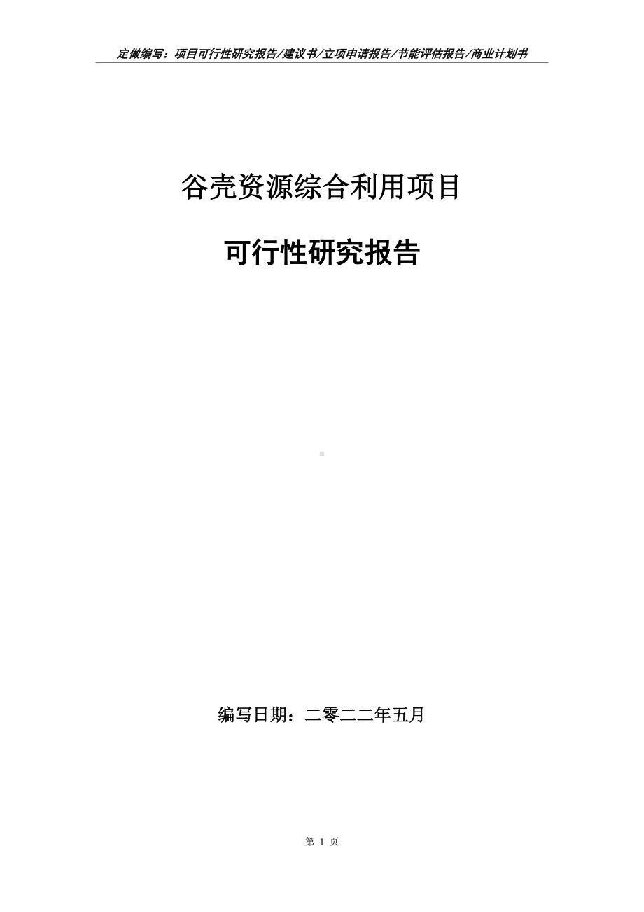 谷壳资源综合利用项目可行性报告（写作模板）.doc_第1页