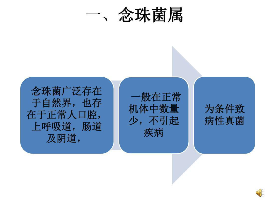 侵袭性念珠菌病处理课件.ppt_第3页