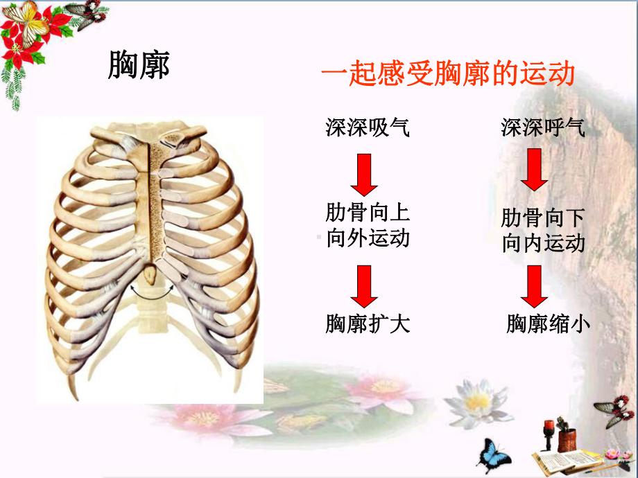 《发生在肺内的气体交换》人体的呼吸-课件.ppt_第2页