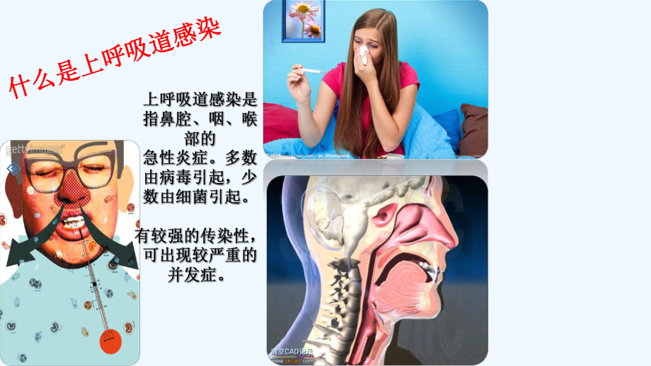 上呼吸道感染防治课件.ppt_第3页