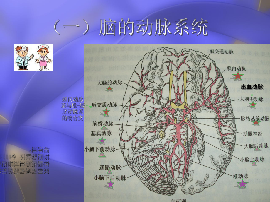 （大学课件）脑出血护理查房1.ppt_第3页