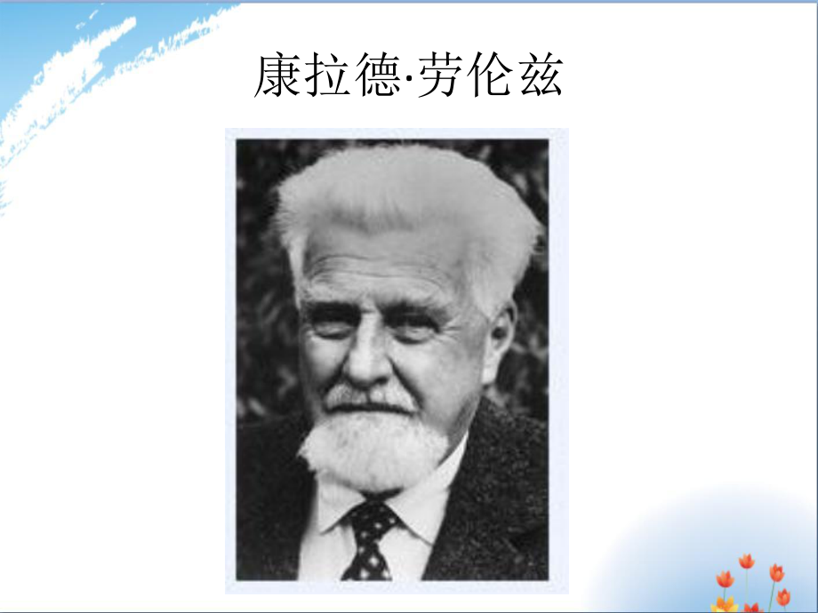 《动物笑谈》优秀课件.ppt_第3页