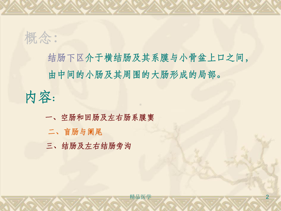 《局解结肠下区》课件.ppt_第2页