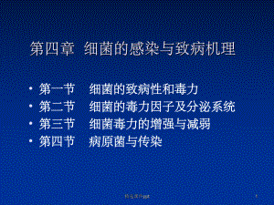 《细菌的感染》课件.ppt