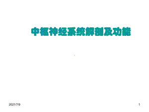 中枢神经系统解剖及功能课件.ppt