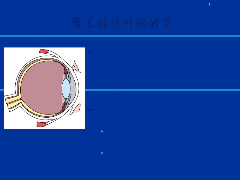 MSD糖尿病视网膜病变课件.ppt_第1页