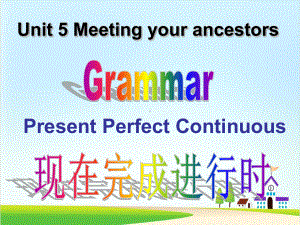 人教课标版高中英语选修8Unit5Grammar-优秀课件20.ppt（纯ppt,可能不含音视频素材）